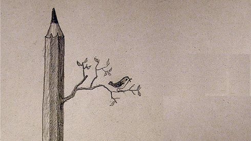 dibujo de un pájaro sobre la rama de un lápiz